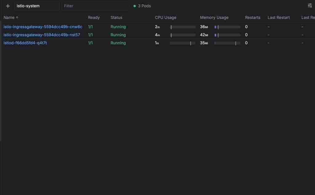 istio pods