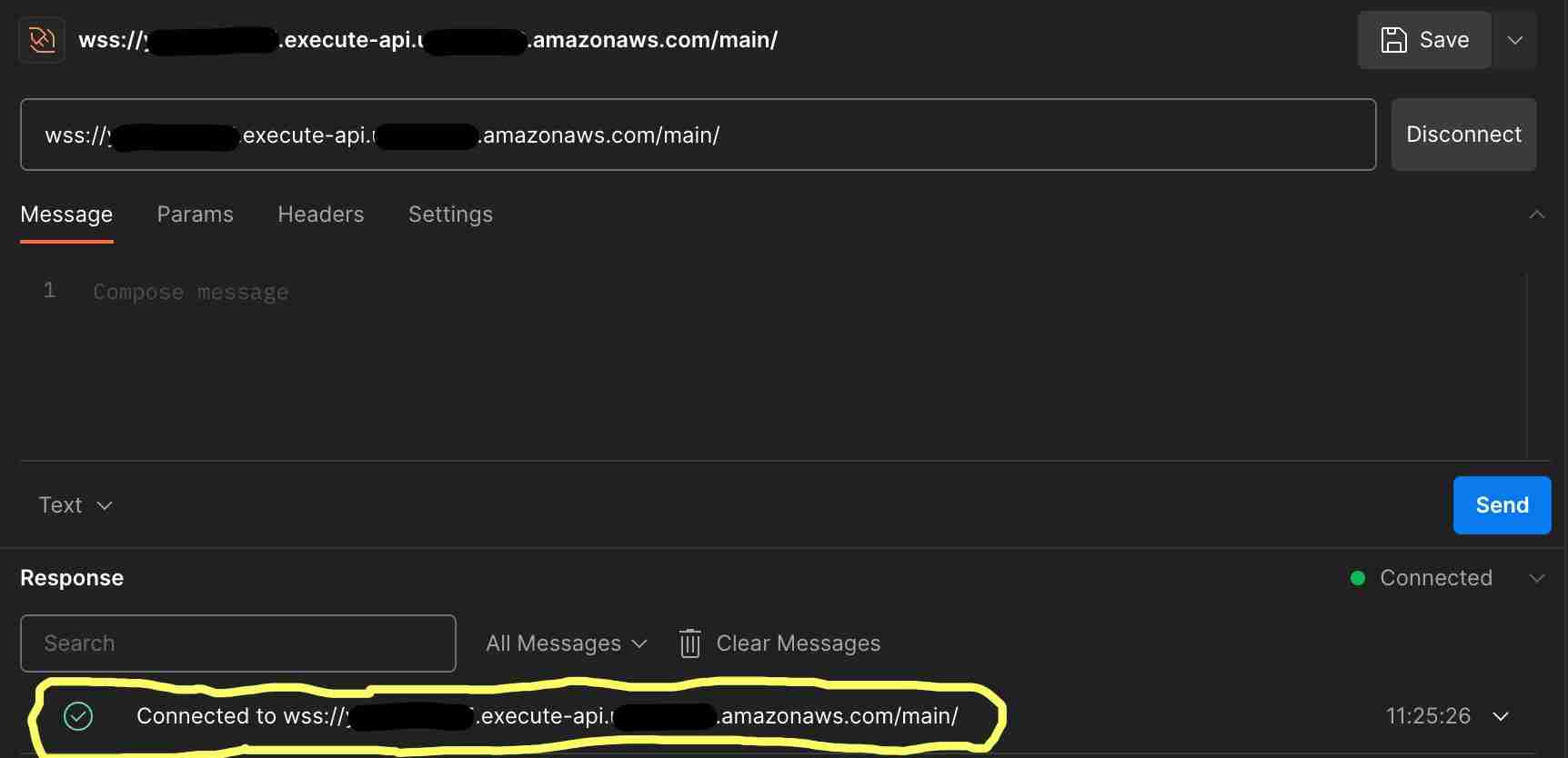 WebSocket Connect