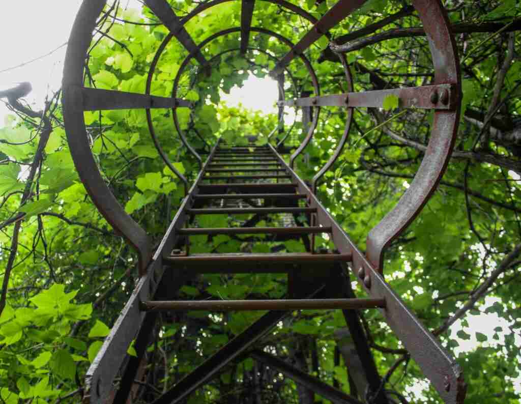 Climbing the technology ladder